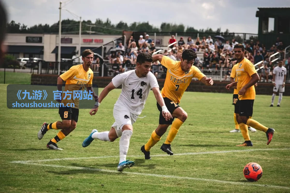 《九游》官方网站账号安全体检与风险项检测服务